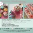 Cupcakes Deko Workshop „Buttercreme Techniken“ – Samstag, 17.10.2026